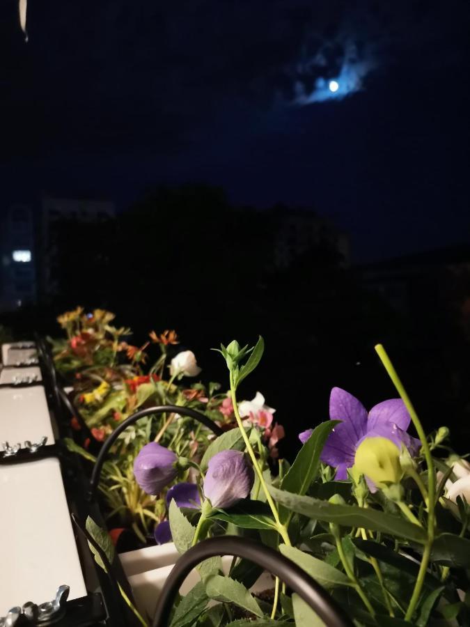 Bloom Box Apartments Craiova Eksteriør bilde